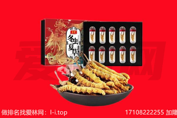 德州临邑县回收虫草.jpg